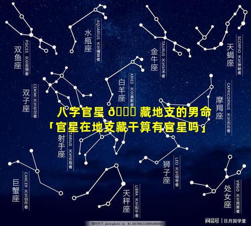 八字官星 🕊 藏地支的男命「官星在地支藏干算有官星吗」